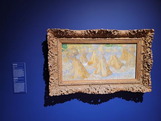 Santa Barbara Museum Of Art by null