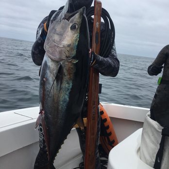 Guardian Charters - Fishing Near Me - San Diego, California