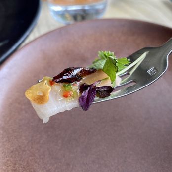 Colita - Aguachile yellow tail, cilantro, tamarind fresno, red shiso, crispy chapulines (crickets) - New American Near Me - Minneapolis, Minnesota