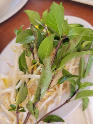 Pho America Vietnamese Cuisine by null