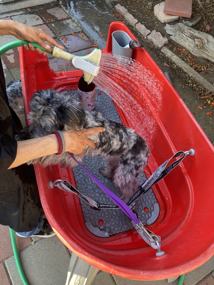 SASSY PAWS DOG GROOMING Torrance, California Pet Groomers Phone