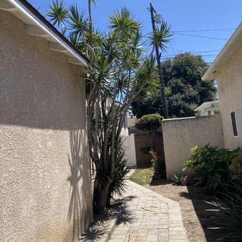 Octavio's Tree Service - Tree Services Near Me Octavio's Tree Service - Tree Services Near Me