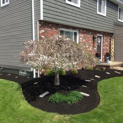 Sunrise Lawn Services