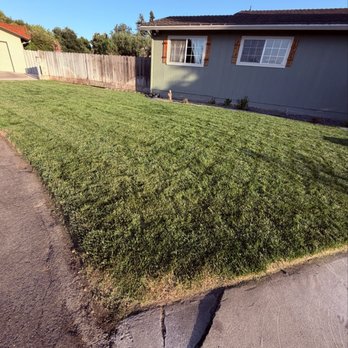 Eden’s Lawn Care - Lawn Services Near Me - Manteca, California Eden’s Lawn Care - Lawn Services Near Me - Manteca, California