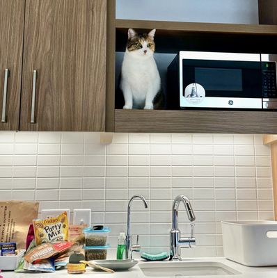 Element Denver Downtown East by null