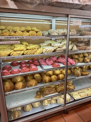 El Valle Oaxaqueno by null