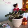Photo of Embody Yoga