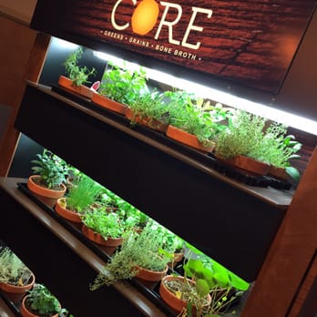 CoreLife Eatery - Fresh herb wall greets everyone at Core. - Salad Near Me - Syracuse, New York
