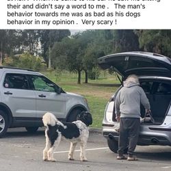 Harry Griffen Park - Part 2 of 2 - Watch out for this person and their dog. Super aggressive animal with an even more irresponsible owner