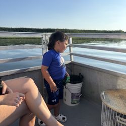 Skimmer Salt Marsh Safari - Some people never know what's going on.