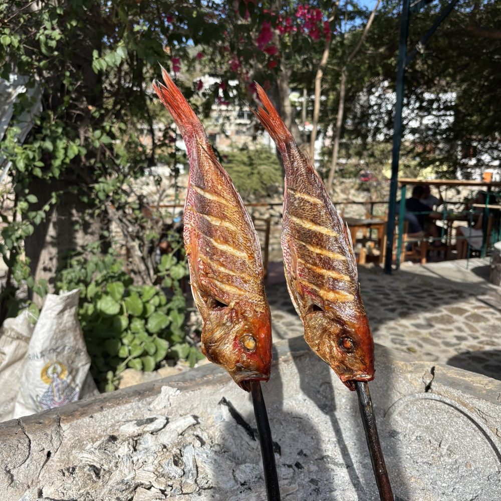 Balam Balam - Fish cooked on charcoal - Seafood Near Me - Puerto Vallarta, JAL Balam Balam - Fish cooked on charcoal - Seafood Near Me - Puerto Vallarta, JAL