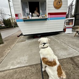Patiently waiting for his pup cup