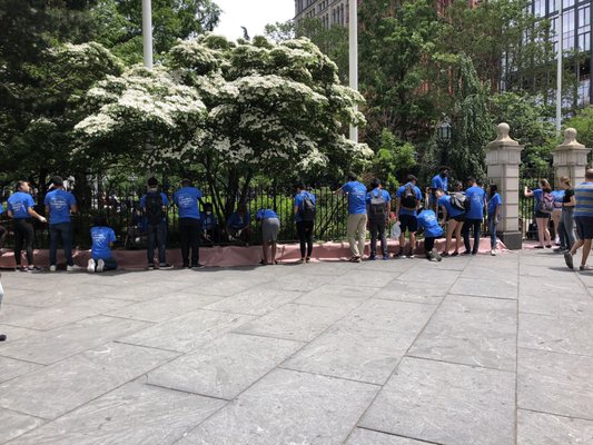 City Hall Park Greenmarket by null