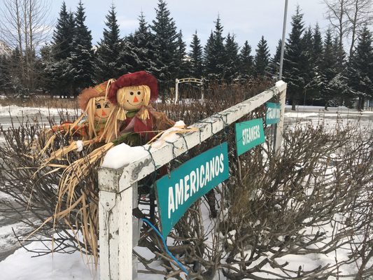 Seward’s Cup by null