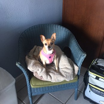 Bodega Harbor Inn - Pet friendly - Hotels Near Me - Bodega Bay, California