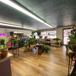 Flowers Plus