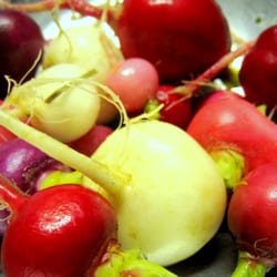 Stony Ridge Farm - Radishes