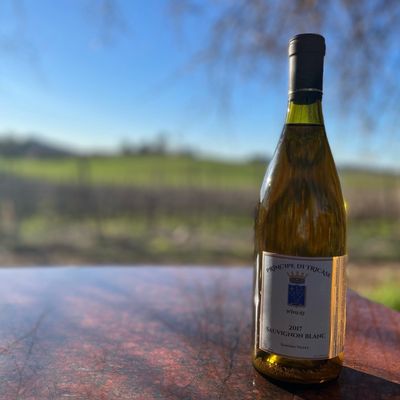 Principe di Tricase Winery by null