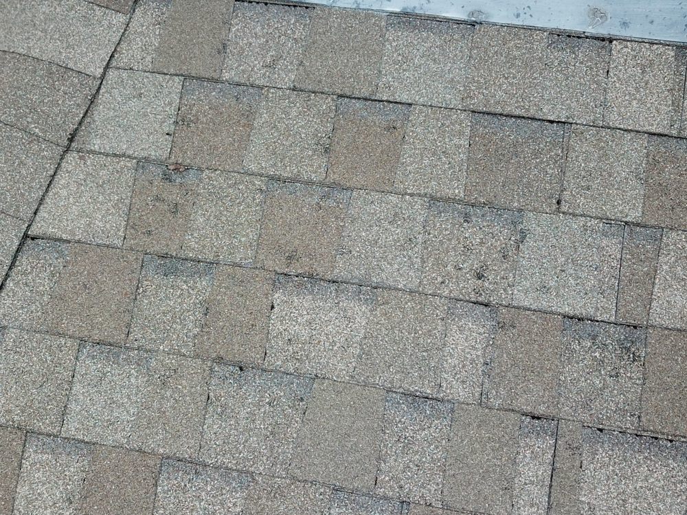 Slide of Alpha 1 Restorations