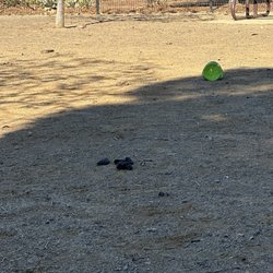Schimmel Dog Park - Nobody seems to pick up after their dogs. This place is in a bad state. Whoever is in charge of this park probably doesn't like dogs.