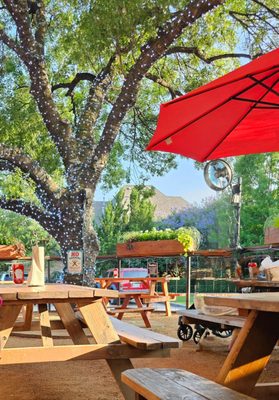 Shady's Burgers & Brewhaha by null