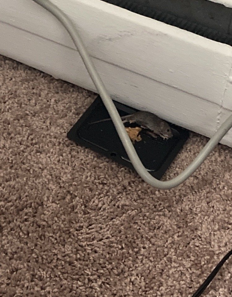 LISS PROPERTY GROUP 10 Reviews Real Estate Gladwyne, PA Phone