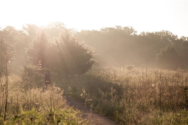 Konza Prairie Biological Station by null