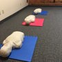 Photo of Life Saver CPR & First Aid Training