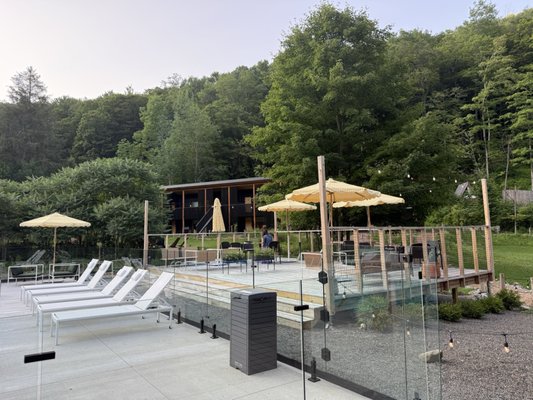 Dandelion - Restaurant by null