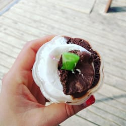 Havre-aux-Glaces - Small coconut and Choco-coconut sorbet. Worth every bite!