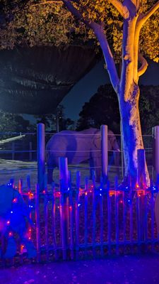 Roger Williams Park Zoo by null
