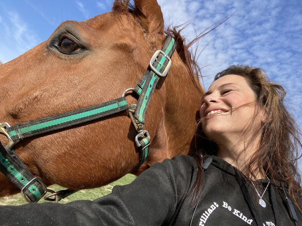 Help With Horses - equestrian in Clinton, OH