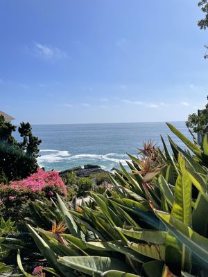 Woods Cove by null