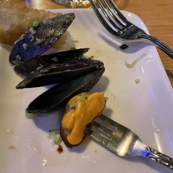 MOFU Shoppe - Green Curry Mussels! - Asian Fusion Near Me - Raleigh, North Carolina MOFU Shoppe - Green Curry Mussels! - Asian Fusion Near Me - Raleigh, North Carolina