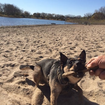 Dog Island - Pet Services Near Me - Grand Island, Nebraska Dog Island - Pet Services Near Me - Grand Island, Nebraska
