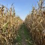 Photo of Knollbrook Farm