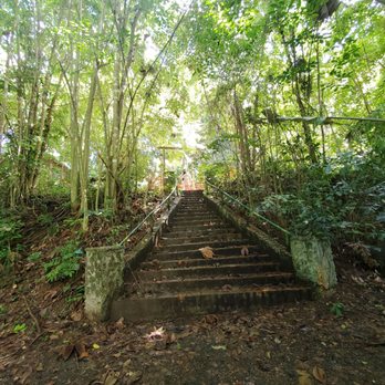 Jardin Botanico - Botanical Gardens Near Me - San Juan, Puerto Rico Jardin Botanico - Botanical Gardens Near Me - San Juan, Puerto Rico