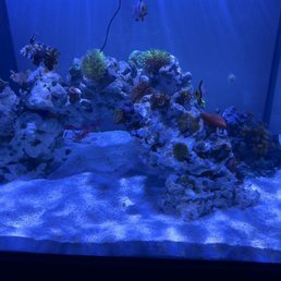 New (slightly used) tank New (slightly used) tank