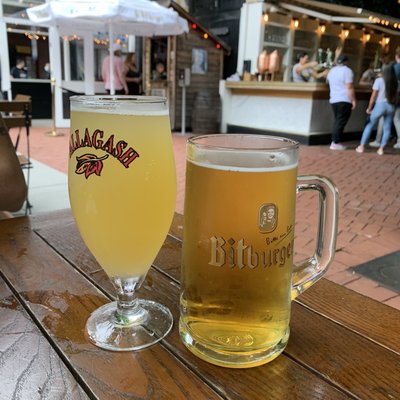 The Standard Biergarten by null
