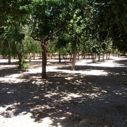 Parque de San Vicente - Parque de San Vicente.