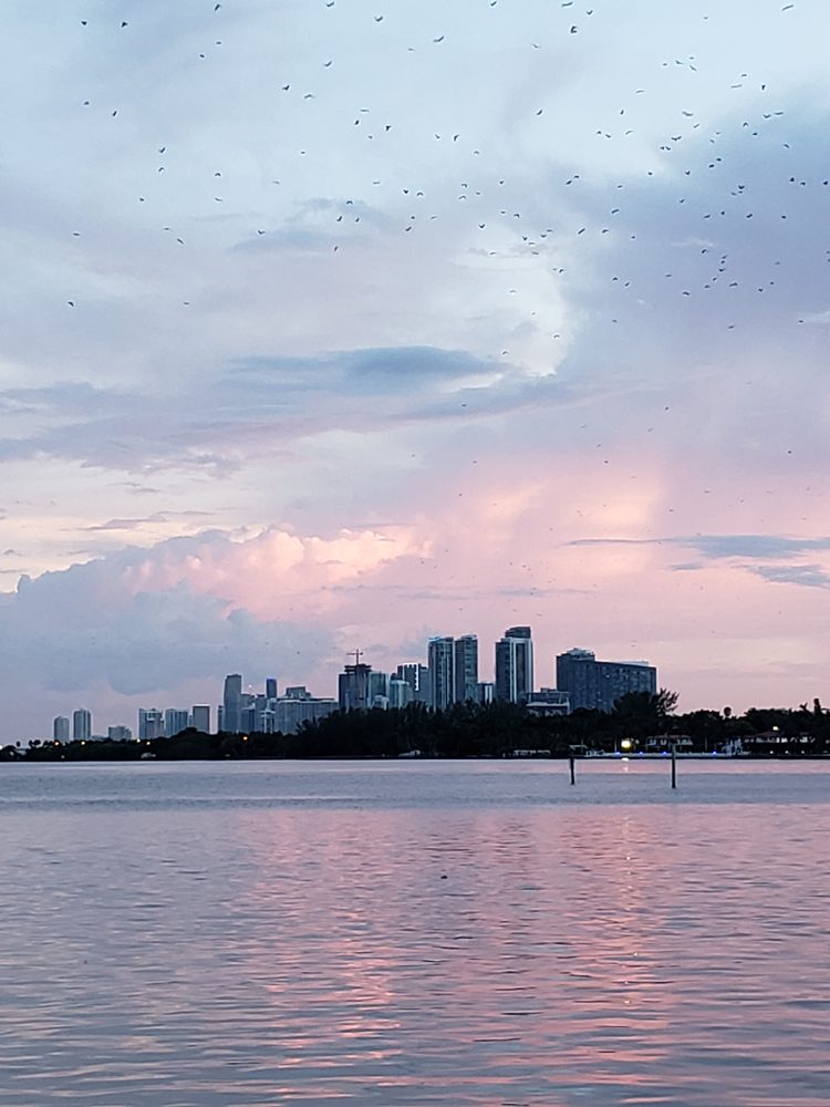 Miami Tax Appeals - property tax consultant in Miami, FL