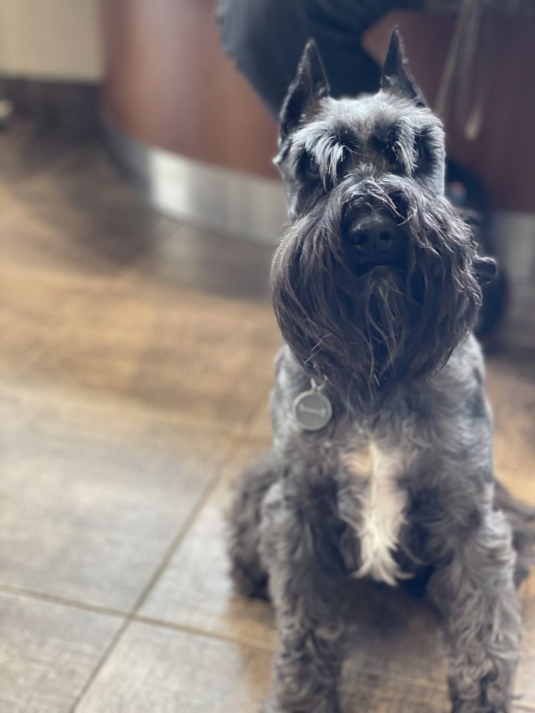 HÔPITAL VÉTÉRINAIRE VIMONT Updated July 2024 29 Photos 4790