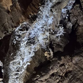 Black Chasm Cavern - Almost looks like crystal coral - Tours Near Me - Volcano, California