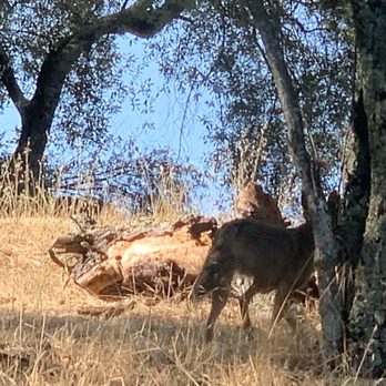 John Nicholas Trail - Hiking Near Me - Los Gatos, California John Nicholas Trail - Hiking Near Me - Los Gatos, California