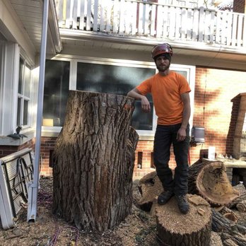 Icon Tree Service - Photo - Tree Services Near Me - New Hamburg, Ontario Icon Tree Service - Photo - Tree Services Near Me - New Hamburg, Ontario