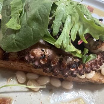 Hook & Anchor - Squid - Seafood Near Me - Costa Mesa, California Hook & Anchor - Squid - Seafood Near Me - Costa Mesa, California