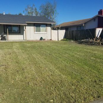 Lawns Hedges Weeds - After. Great service highly recommend . - Landscaping Near Me - Fairfield, California Lawns Hedges Weeds - After. Great service highly recommend . - Landscaping Near Me - Fairfield, California