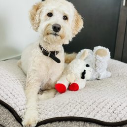 Feelin good after a fresh cut