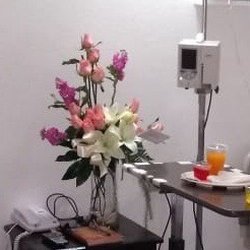 Quiero Flores
