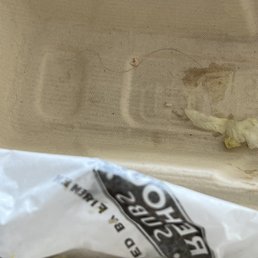 Hair in sandwich. I'm a male with short hair. This isn't mine